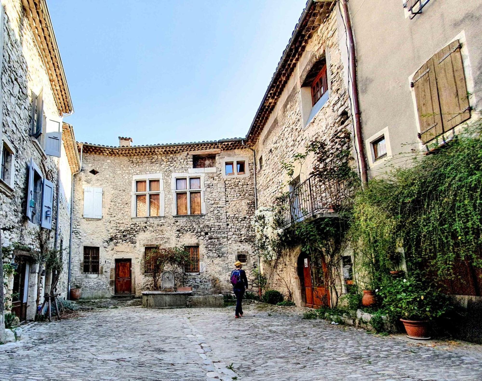 Le Dauphine Hotel Chatillon en Diois Bagian luar foto