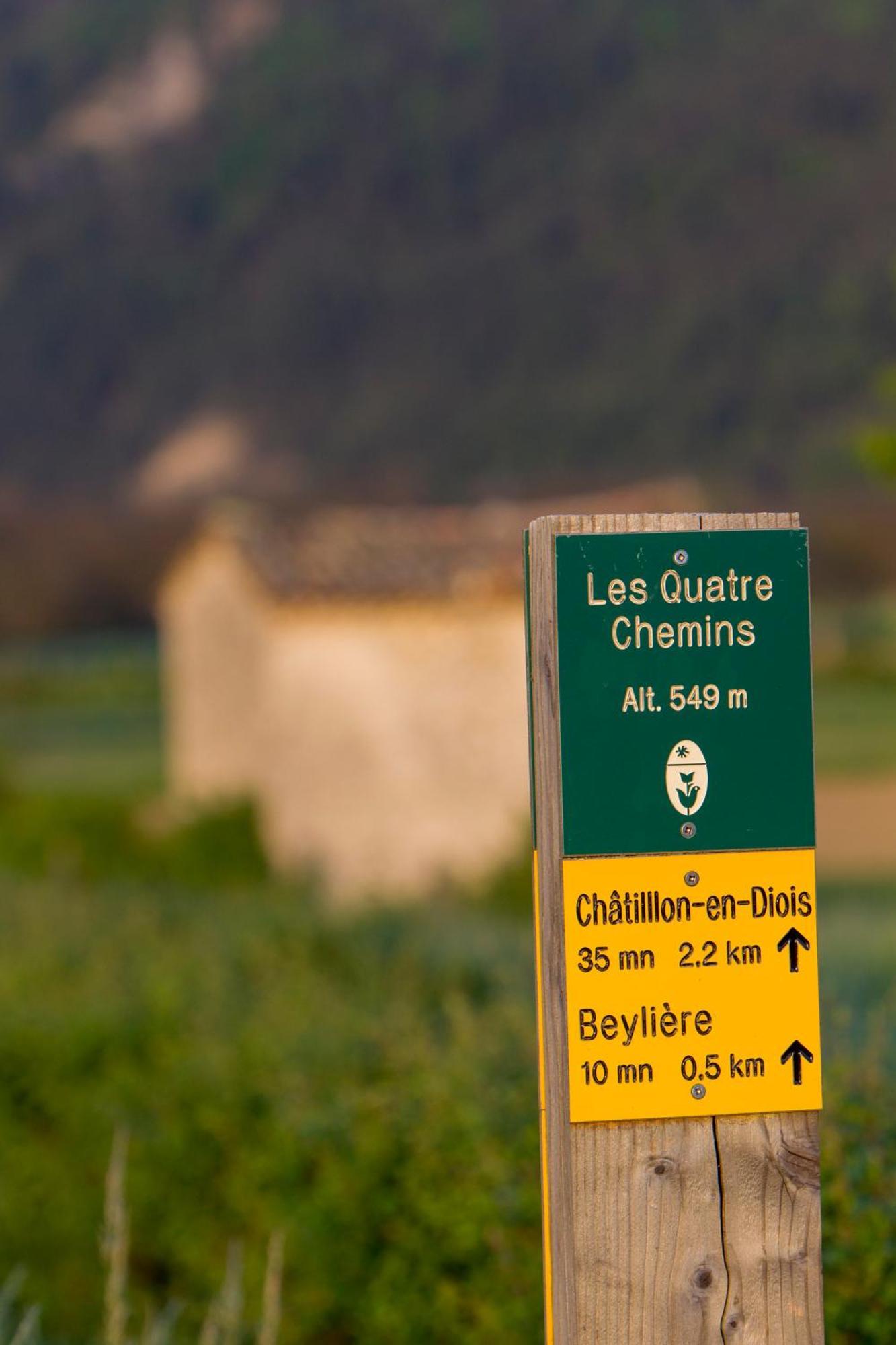Le Dauphine Hotel Chatillon en Diois Bagian luar foto