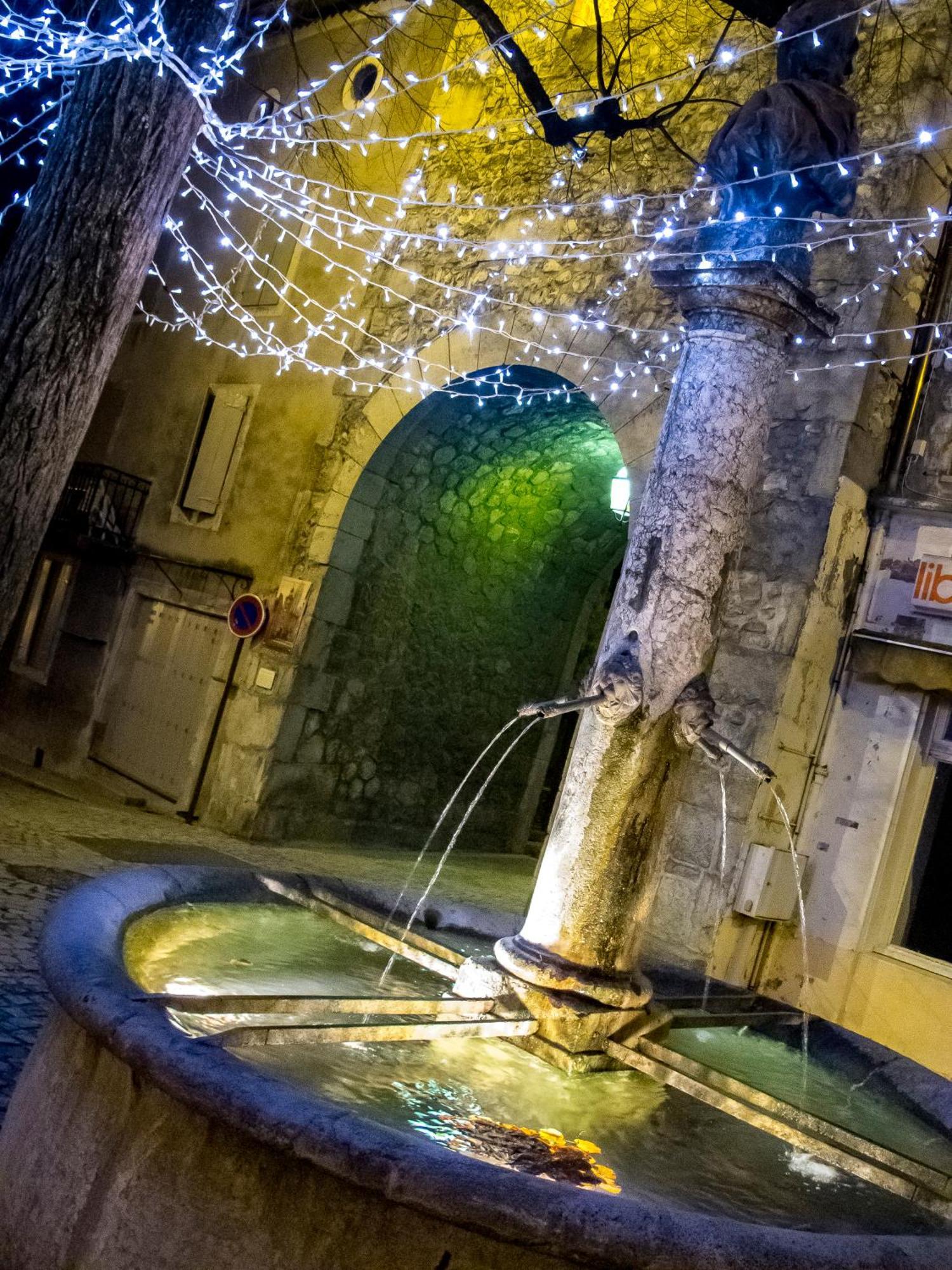 Le Dauphine Hotel Chatillon en Diois Bagian luar foto